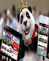 Royal Panda Casino